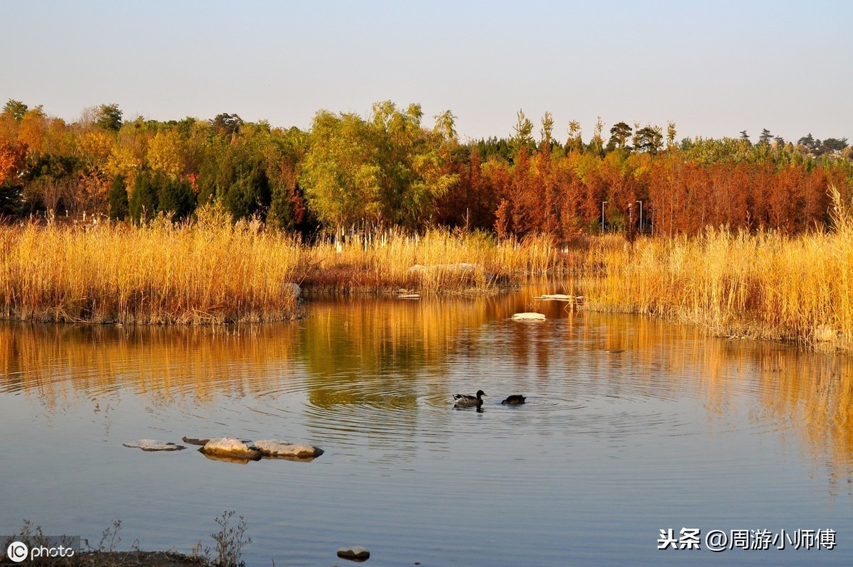 邂逅鄱阳湖最美的秋小编分享环鄱阳湖自驾路线攻略，看过都点赞