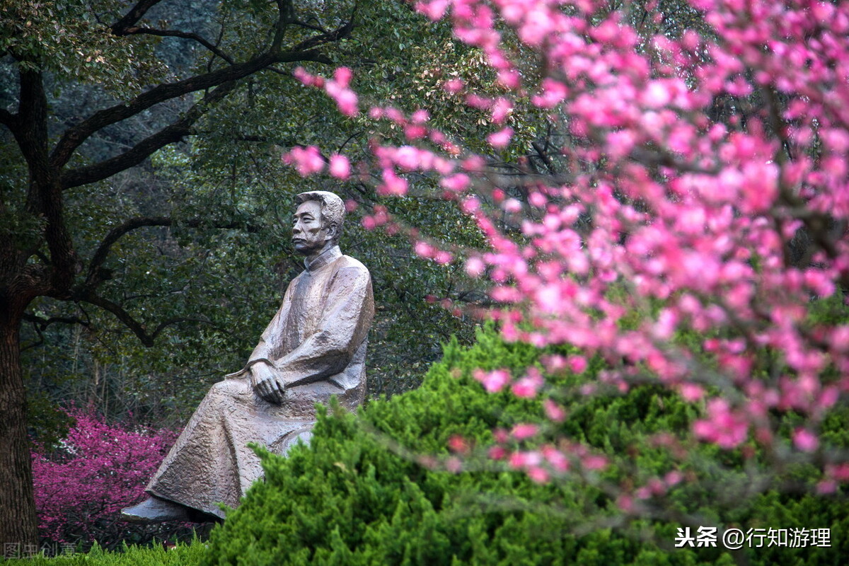 曹衣出水形容什么（一出水形容什么曹衣出水形容什么）-第2张图片-巴山号