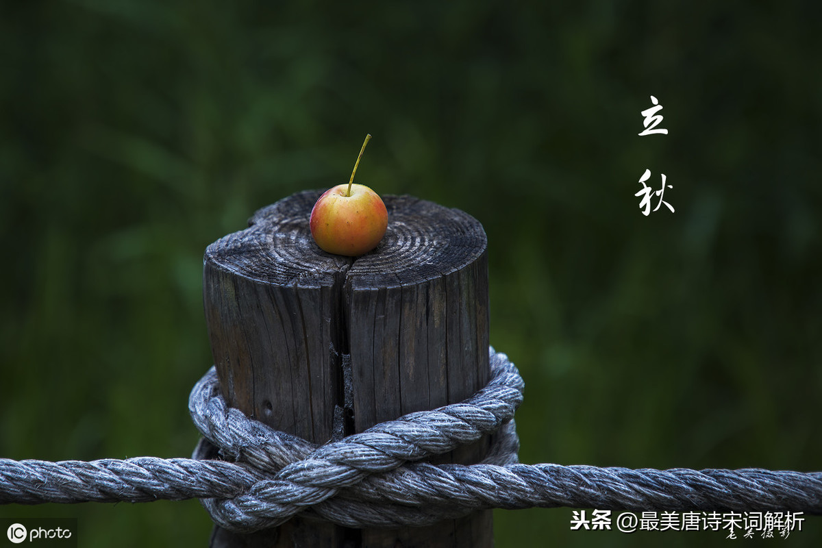立秋的古诗大全300首_立秋的诗句,描写立秋的诗句