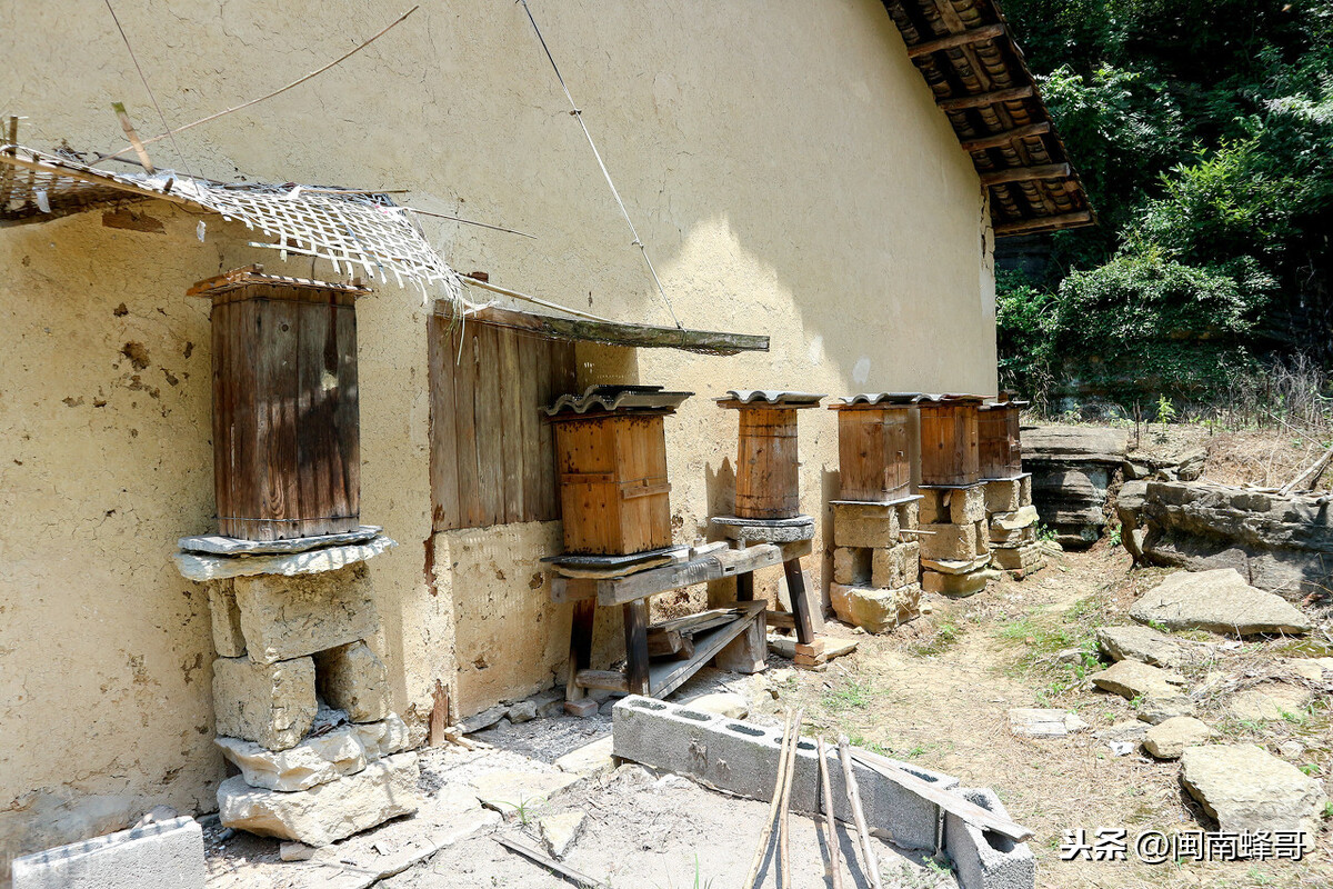 农村自建房讲究风水宝地，蜜蜂建巢讲究内外条件，养蜂技术巧用