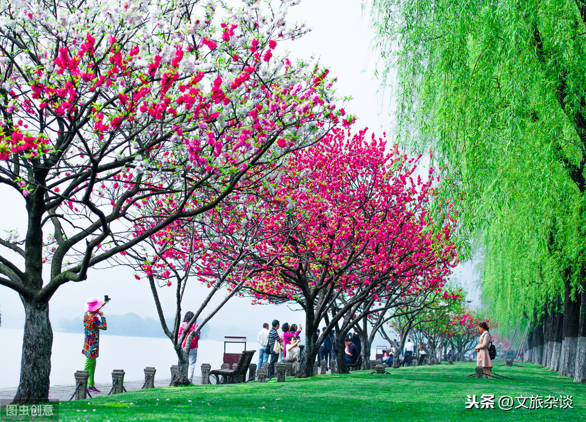 「绿杨阴里白沙堤」——白居易与白堤