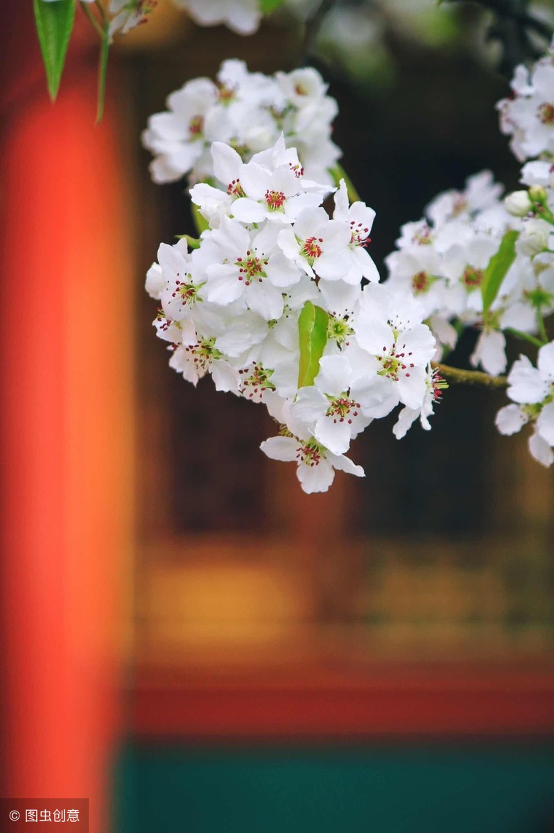 野徑雲俱黑,江船火獨明.曉看紅溼處,花重錦官城.