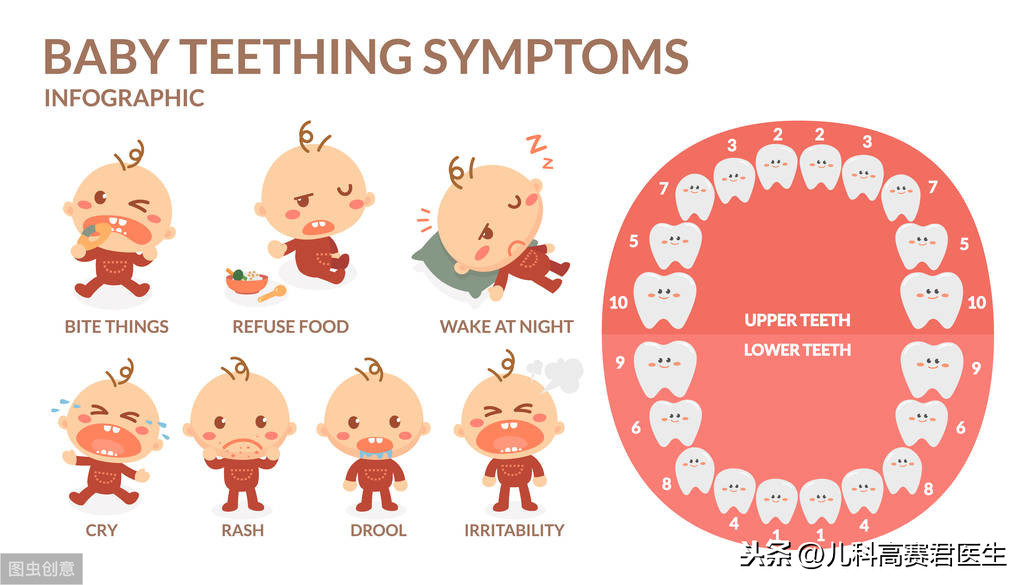 婴儿长牙会发烧吗（宝宝出牙全攻略）