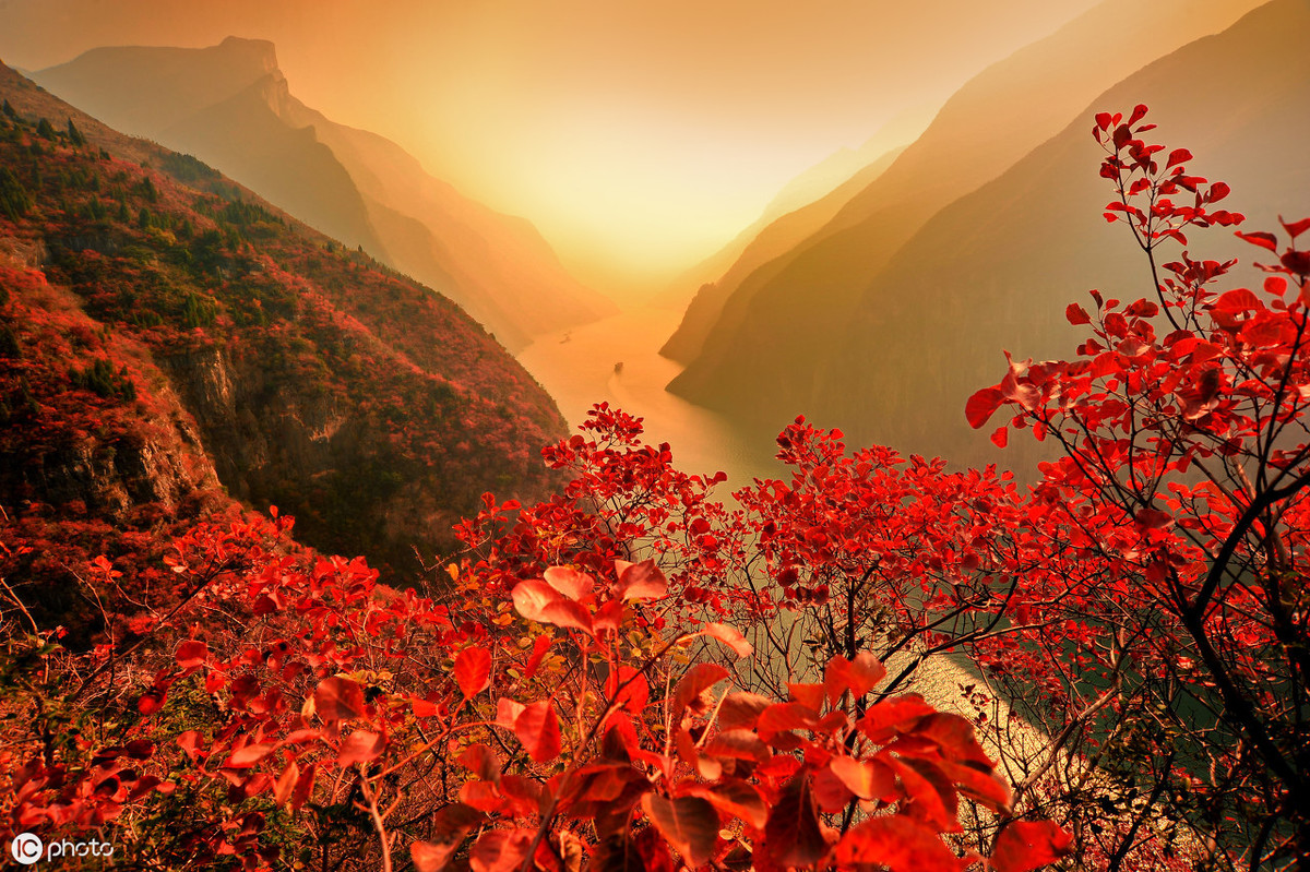 古人笔下很美的8首枫叶诗词，看满山红叶，品诗情画意