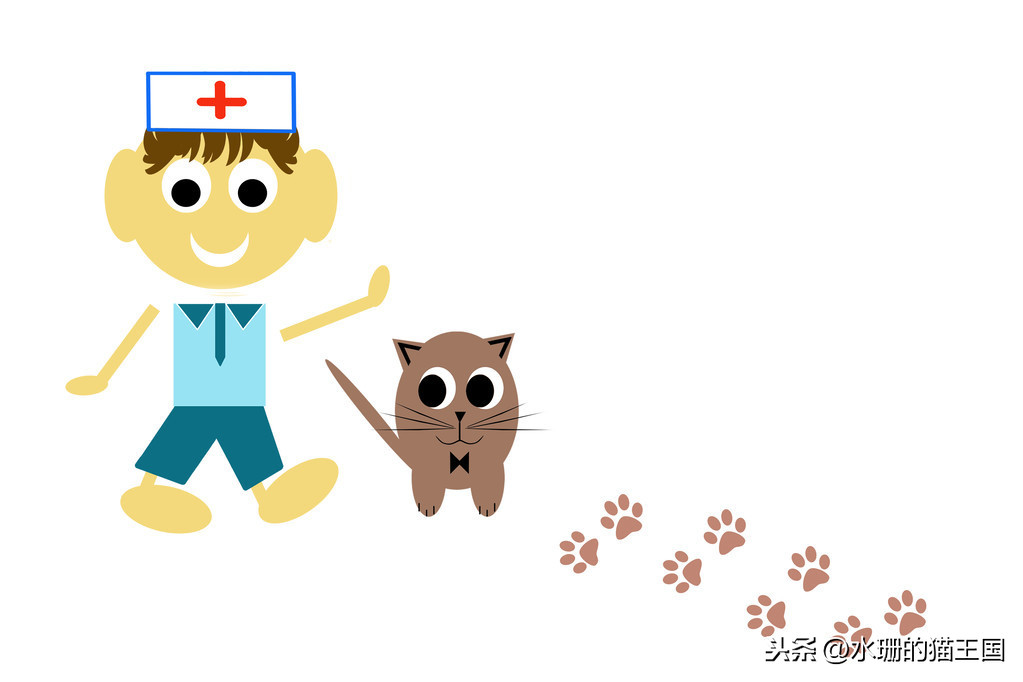 养猫经验之猫咪医疗账单分享，两只猫一年看病花多少钱？