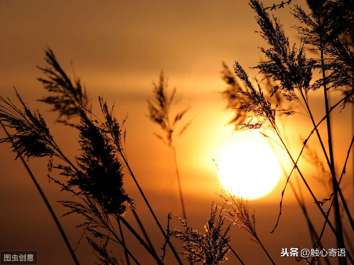 秋天最暖心的句子，句句小清新，让人念念不忘