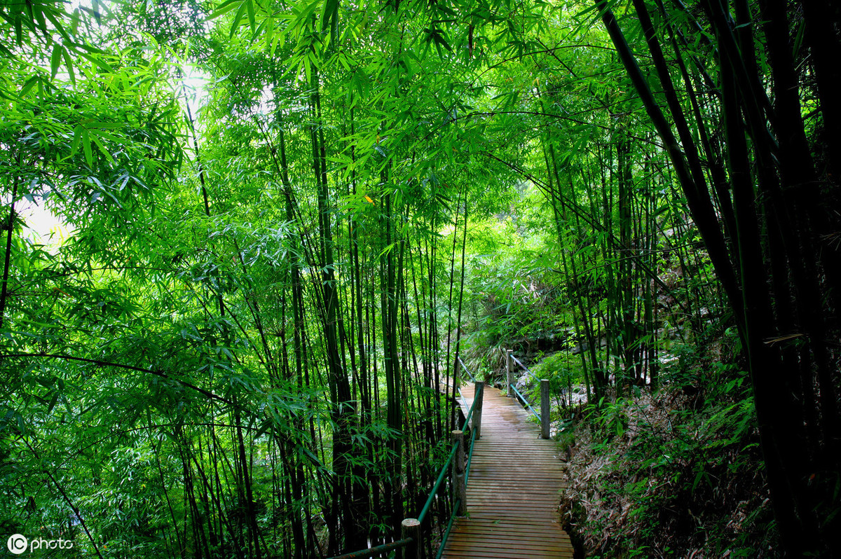 《山居秋暝》王维