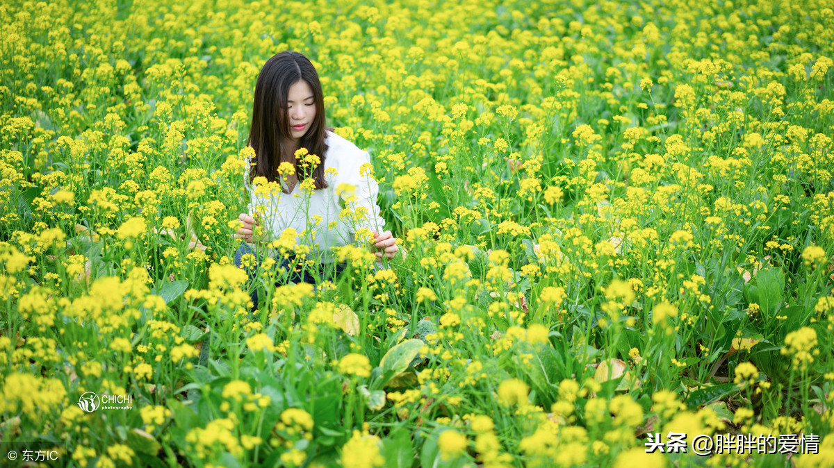 闲看花开，静待花落，冷暖自知，干净如始，你若盛开，清风自来