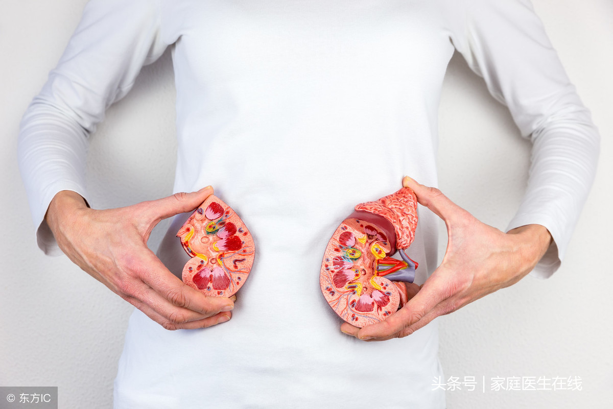 什么是肾囊肿？诱发肾囊肿的三大因素，敲响健康“警钟”！