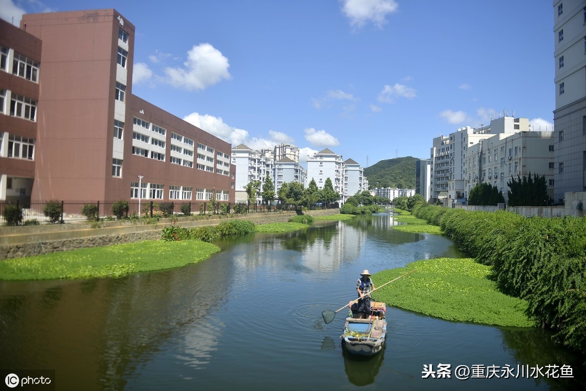 養(yǎng)魚先養(yǎng)水的方法---水質(zhì)的調(diào)控和管理是養(yǎng)殖成功的關(guān)鍵環(huán)節(jié)