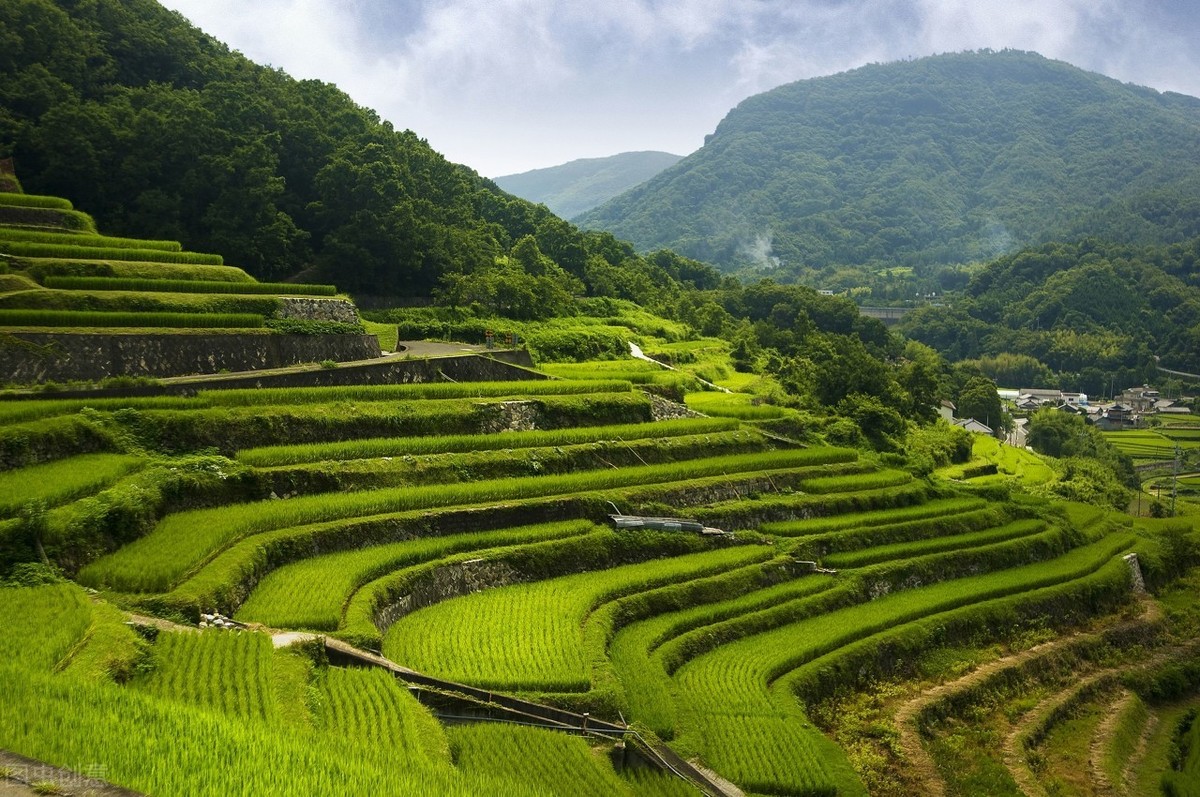 风吹草低见牛羊，你向往的草原，是诗与远方的美景，也是眼前生活