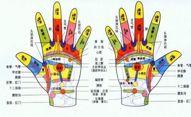 手掌颜色透露身体健康的秘密，看一眼就知道你得了什么病