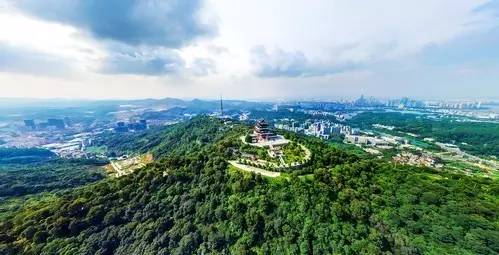 它，竟然是惠州最美的岛屿!