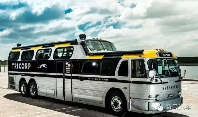 罗维的创造力有待提高(一条猎狗与它的百年传奇——美国灰狗巴士)