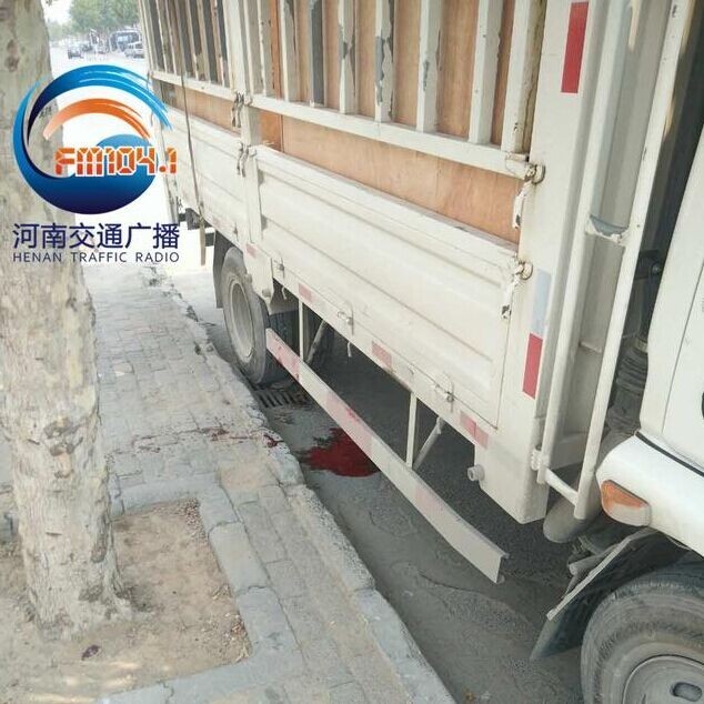 触目惊心！郑州货车一天夺三命，花季少女、4岁男童纷纷丧命车轮下！