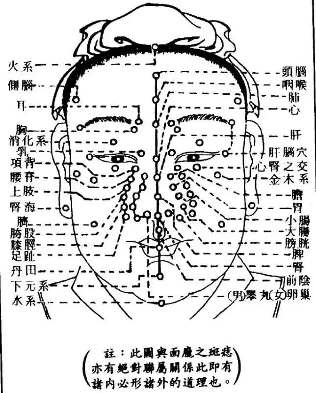 速解面相疾病圖:通過面相即知道人的五臟六腑盛衰及保養