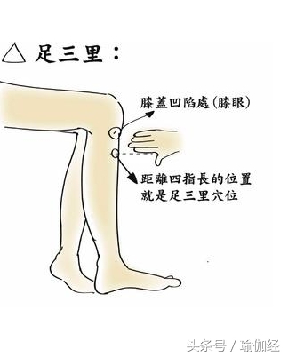 足三里穴位位置图（治疗风湿腿，缓解足部疲劳的穴位-足三里）