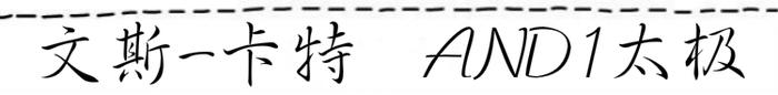 nba扣将的球鞋哪些(扣篮该穿什么篮球鞋？来看看NBA扣将们穿的上脚球鞋吧！)