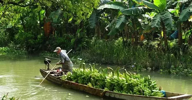 东莞自助游（属于东莞的清新文艺范：这10处小资旅游地美爆了！）