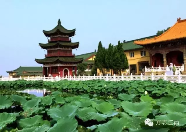 庐山东林寺 庐山东林寺简介 前沿资讯 子午七星网