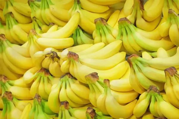 香蕉里面的黑籽是什么(趣读 | 请问，你知道香蕉的籽在哪吗？)