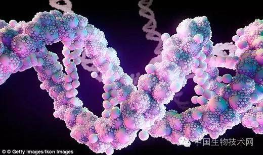 细胞中的私语者：首张基因相互作用图谱问世