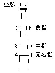 排球的声音是什么(惠若琪、朱婷为何声音低沉？)