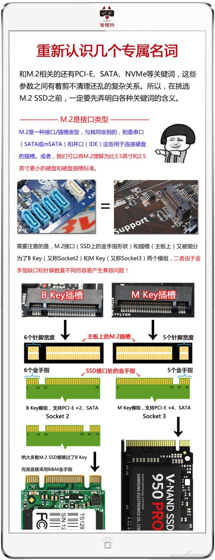 ngff接口图图片