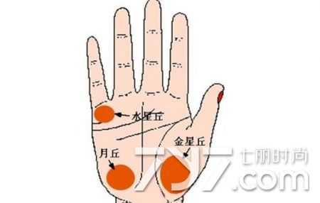 智慧线上翘到水星丘 手相学之智慧线分叉水星丘图解