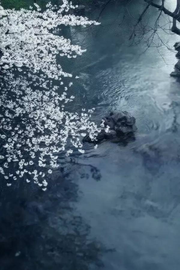 风萧萧雨潇潇是什么意思风萧萧雨绵绵