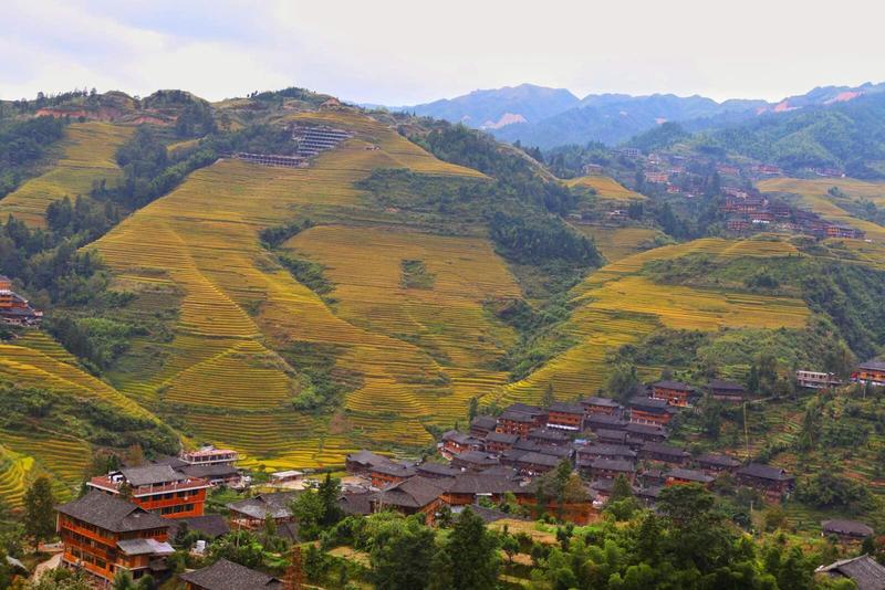 中国最美乡村之龙脊梯田