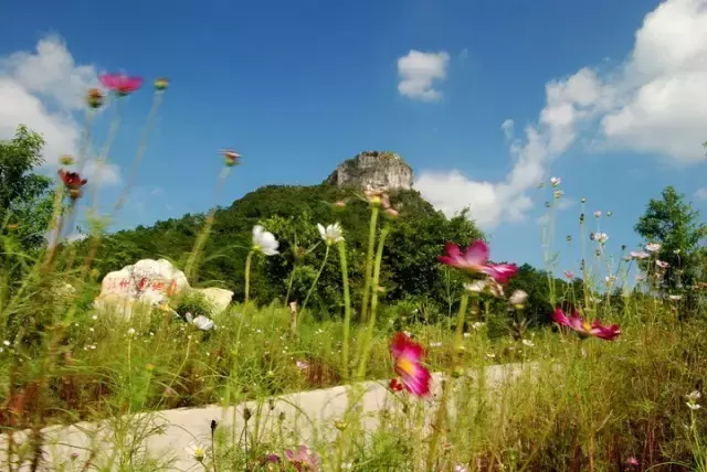 连州旅游必去十大景点（连州旅游必去十大景点过年）-第12张图片-科灵网