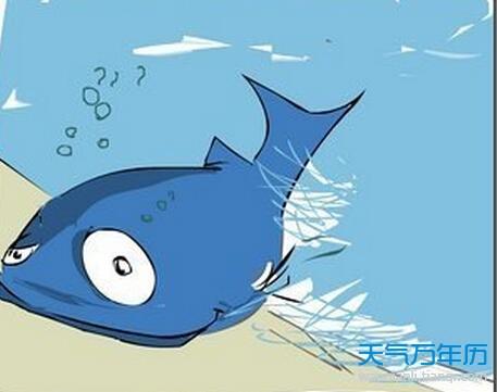 你熟悉哪些鱼的谚语