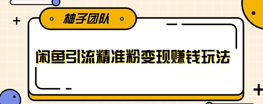 柚子闲鱼引流精准粉变现赚钱课，每天引流精准粉+100【视频课程】 配图