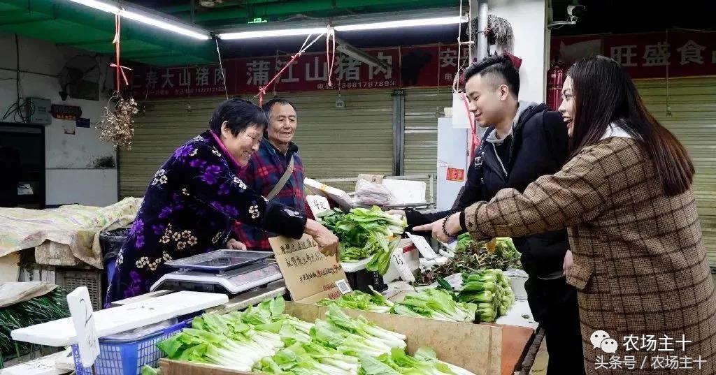 对不起，菜市场的文案写得比你好!