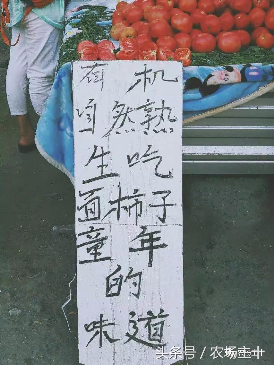 对不起，菜市场的文案写得比你好!