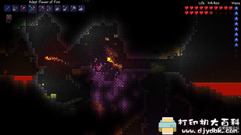 PC游戏分享：泰拉瑞亚v1.4.1.1免安装简体中文绿色版 配图 No.2