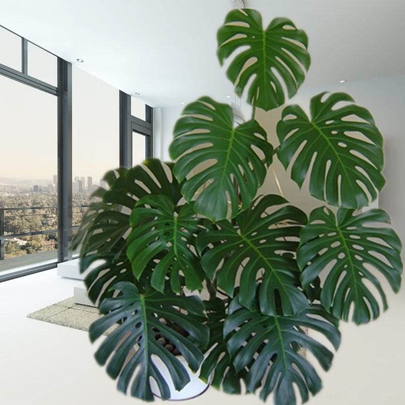 客厅最旺宅的大型植物(适合家里养的大型花树)-八哥网