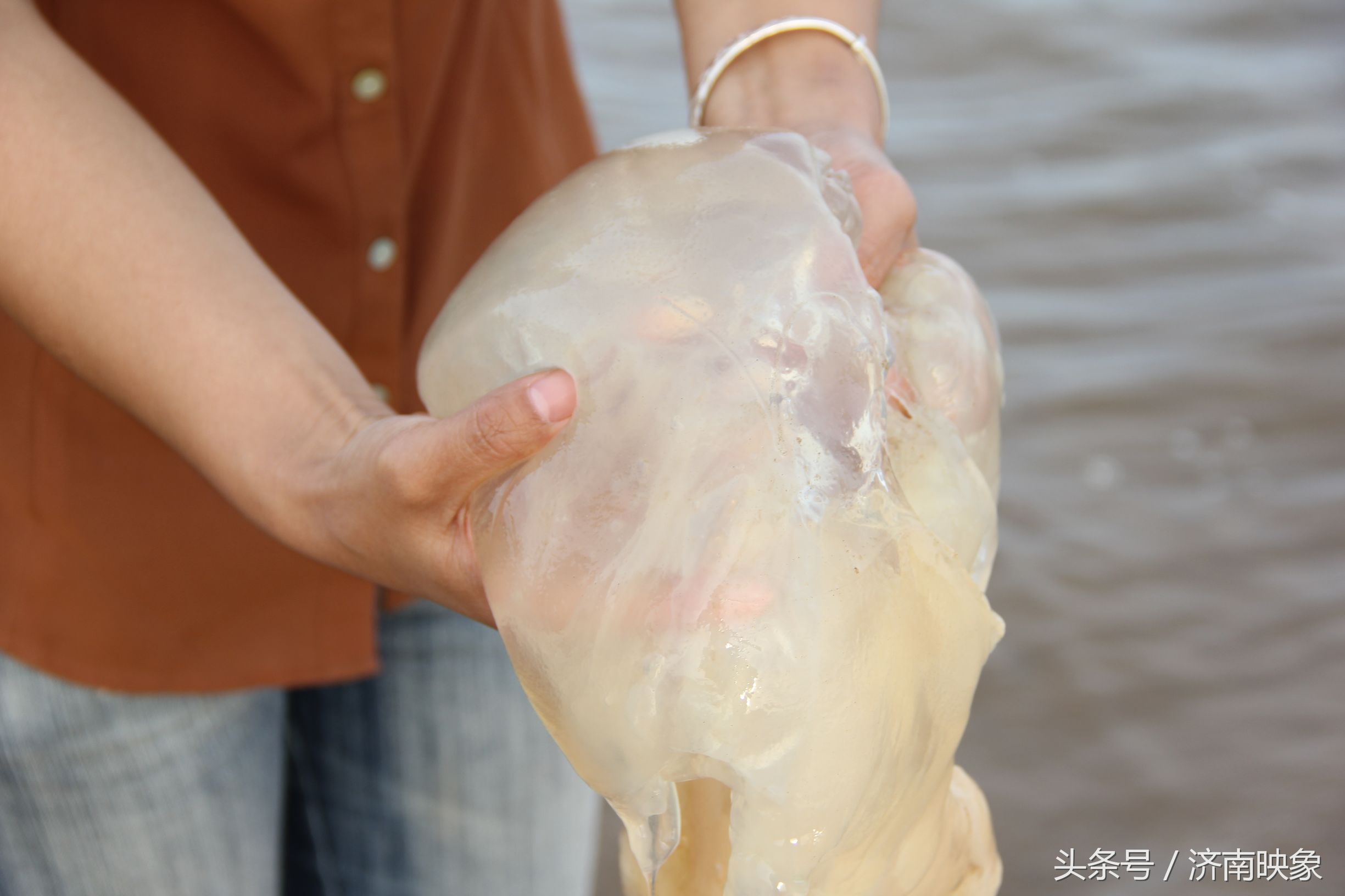 海蜇确实很好吃,但是小心有毒啊!