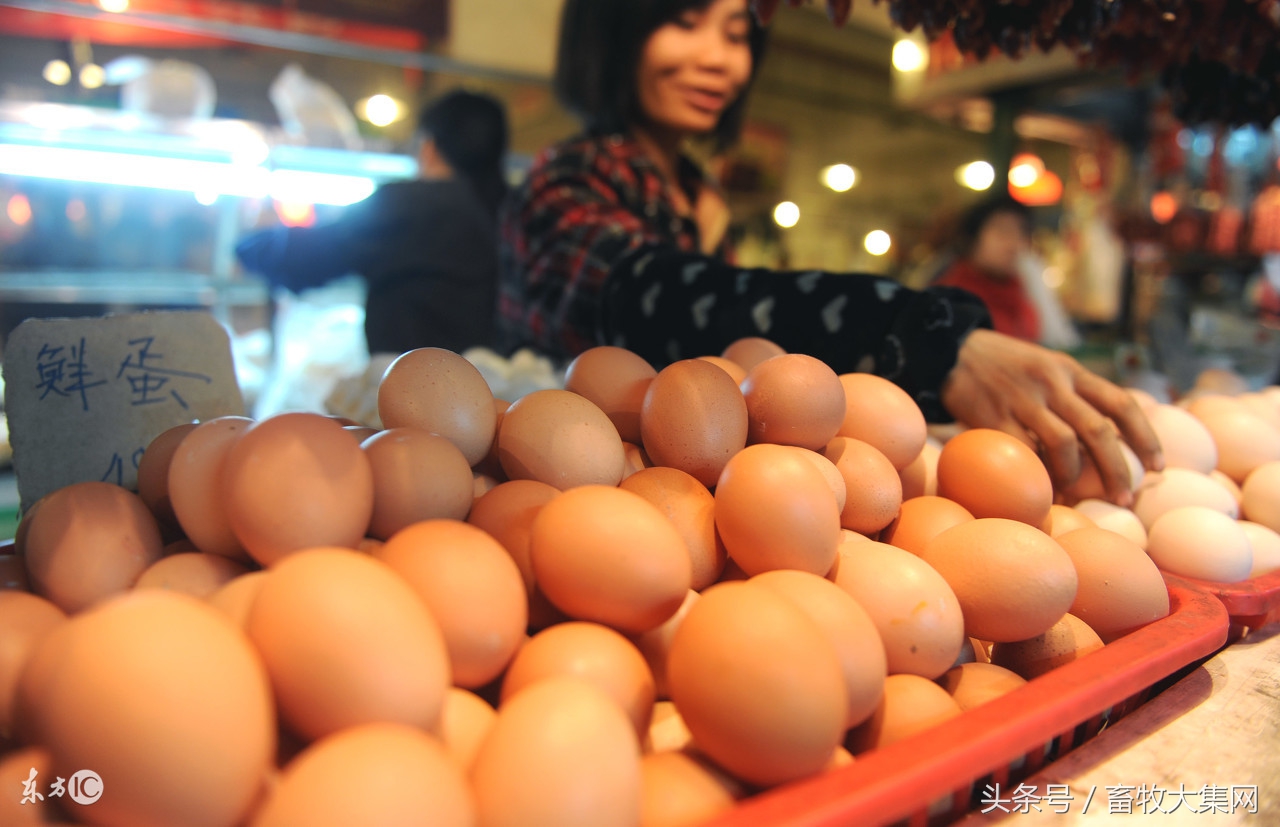 江苏今日鸡蛋批发价格，今日西安鸡蛋批发价格行情