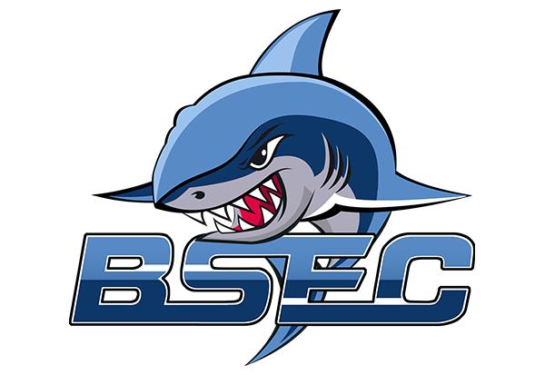 跟随CF白鲨这些年的logo，你最喜欢哪个？