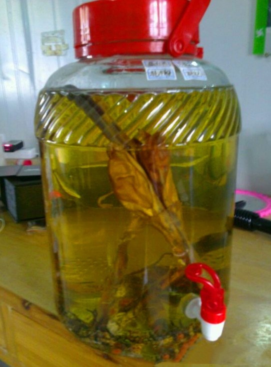 泡酒40种大全,泡酒40种大全失眠-友友