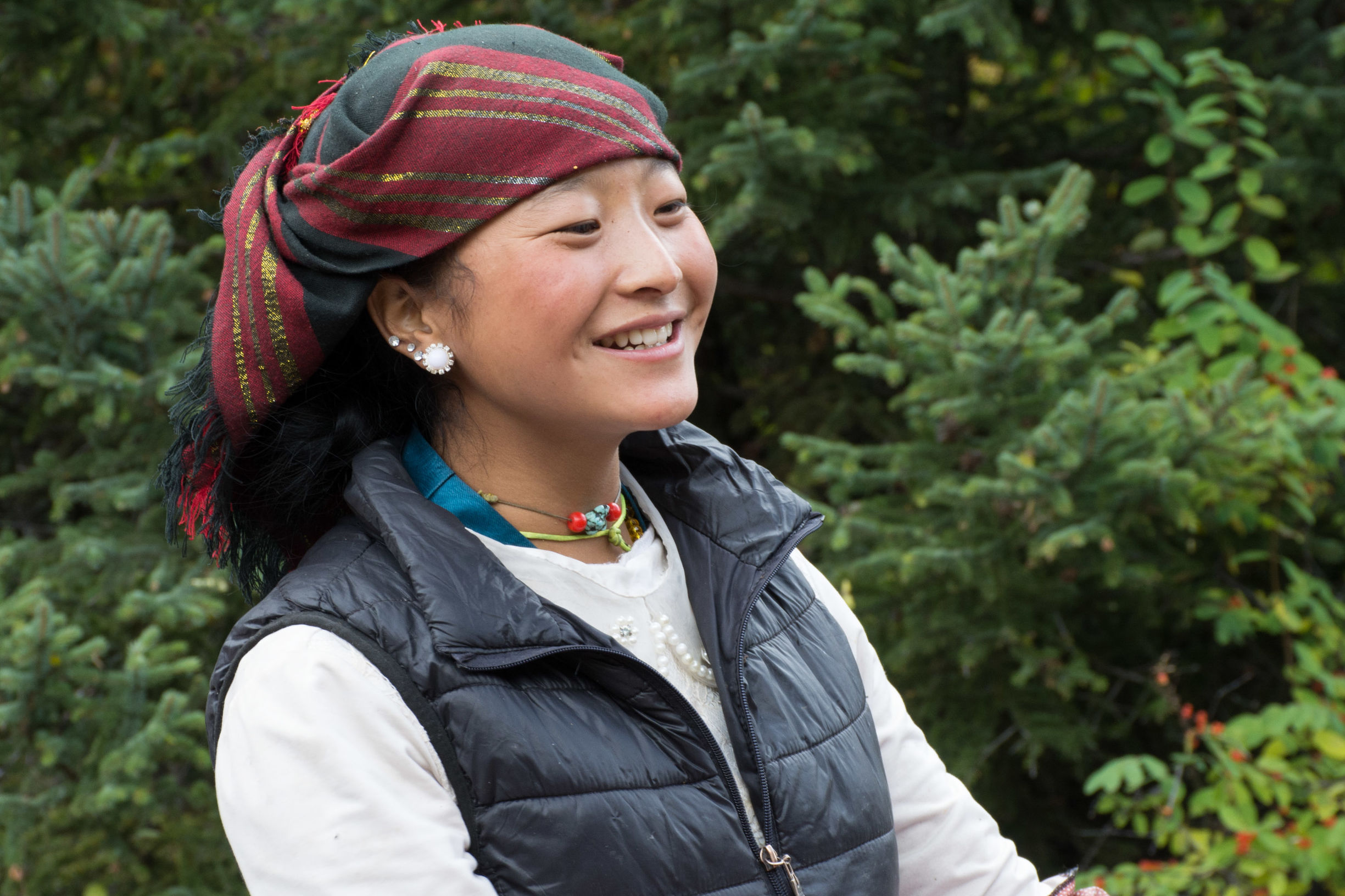 柏树,杨树,桦树,樟树,椿树,乔松,铁杉,毛竹为常见的经济价值高的种类