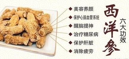 黑枸杞 西洋参的搭配和功效
