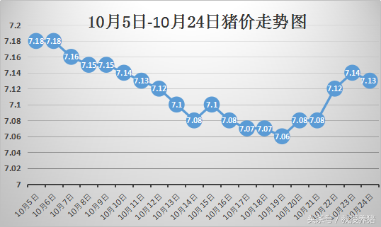 10月24日全国猪价行情：这一波小幅连涨还能持续多久？