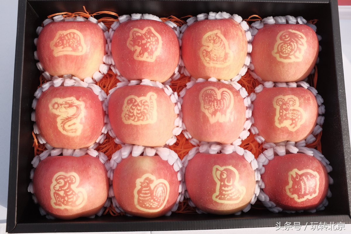 北京十三陵一果园苹果采摘价30元/公斤 单果20元一个