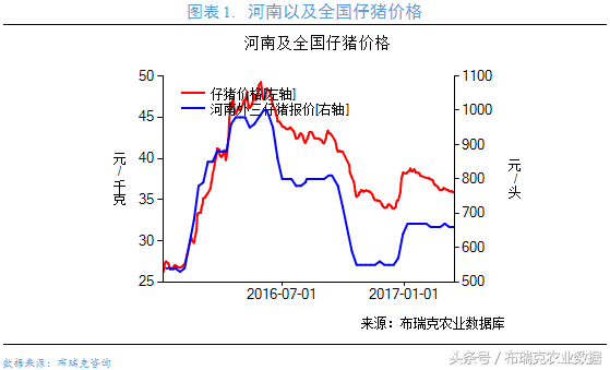 生猪价格怎么走，看完生猪行业监测预警，农户可以自己判断了！