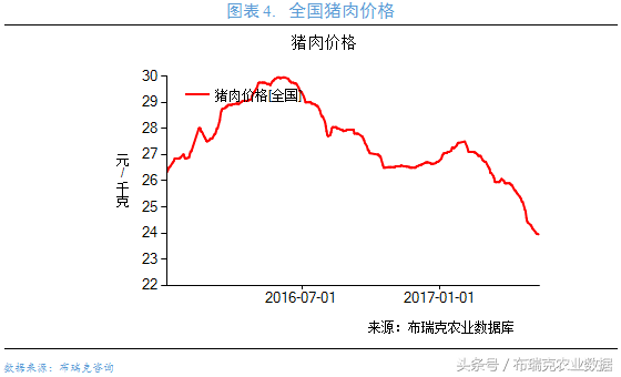 生猪价格怎么走，看完生猪行业监测预警，农户可以自己判断了！