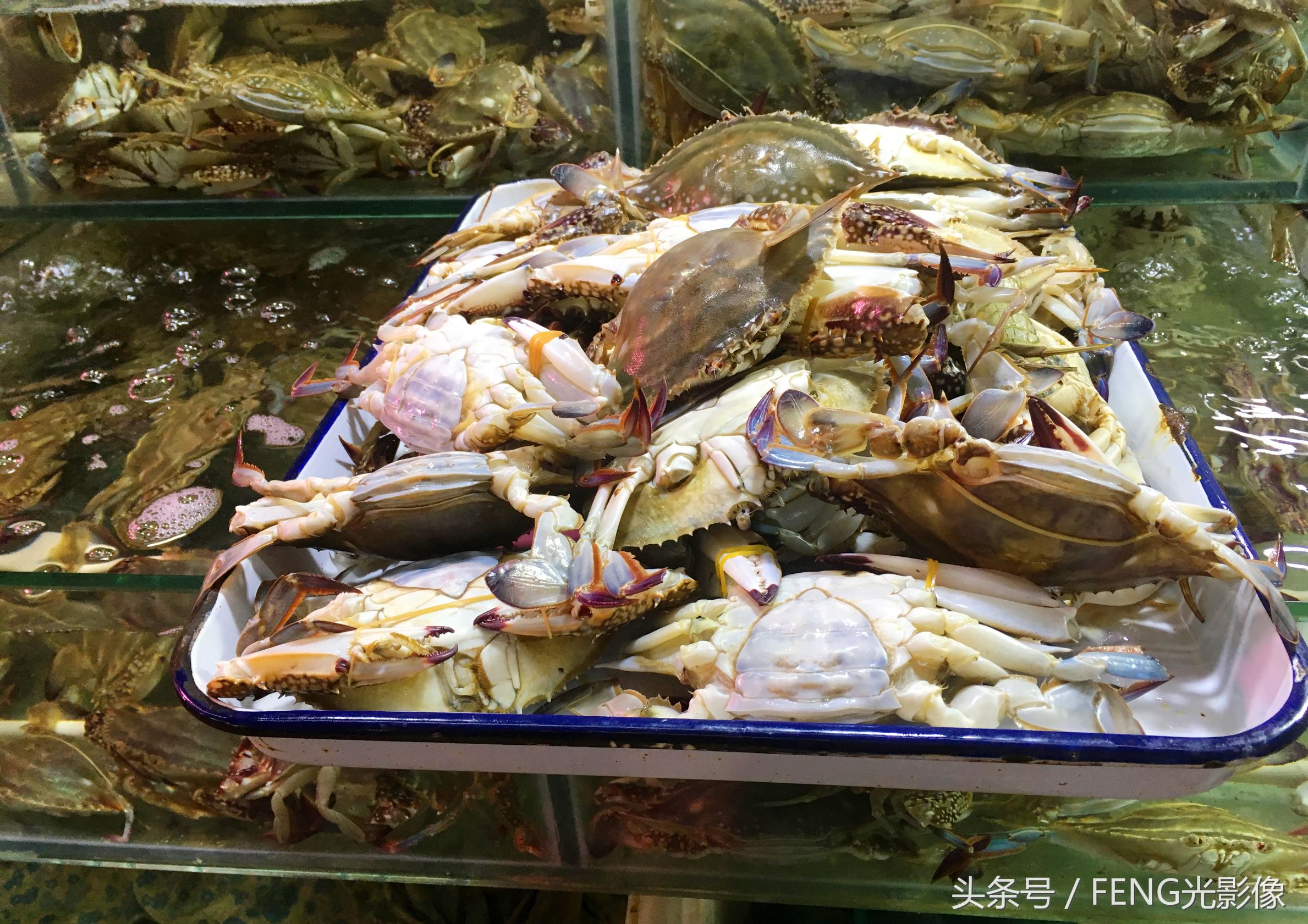 北京新发地海鲜梭子蟹今日价格（北京新发地海鲜市场电话）