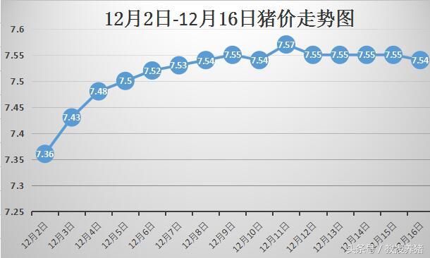 12月16日全国各地最新猪价！